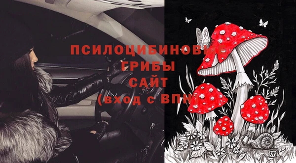 гидра Артём