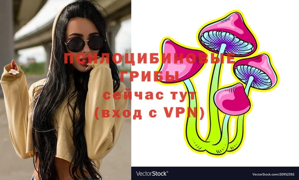 соль курить ск Нефтекумск